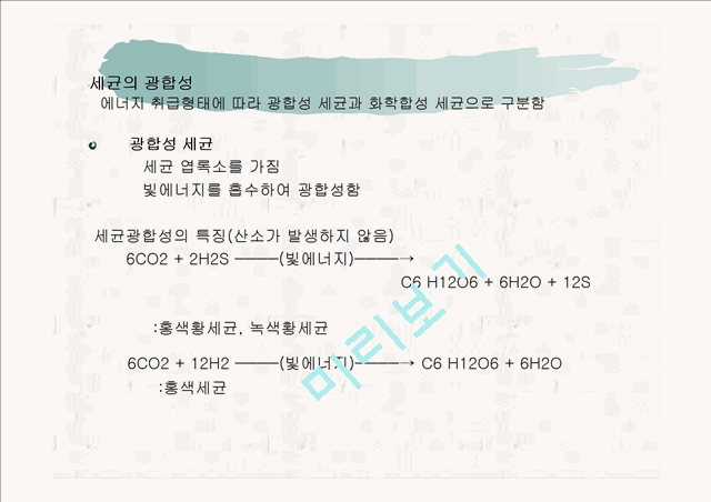 Components Of The Soil Biota자연과학레포트