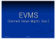 [] EVMS(Earned Value Management System)   (1 )