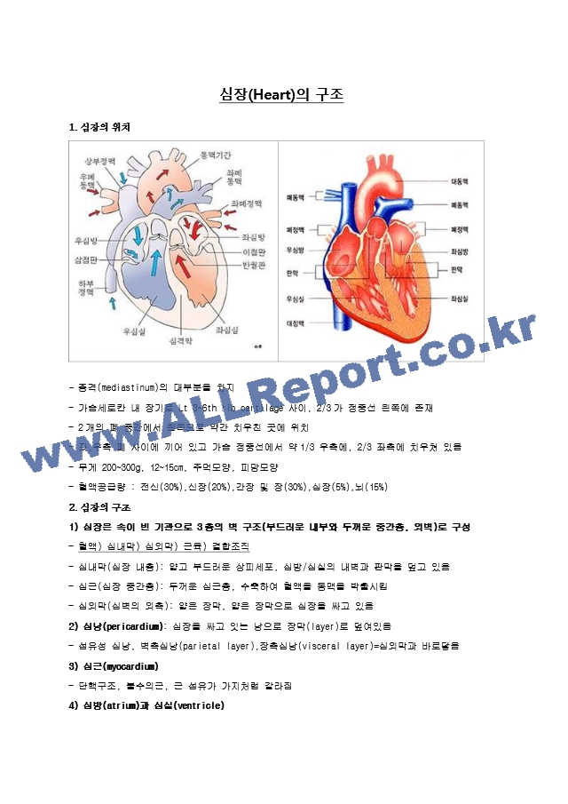 심장공부하기(기능,구조,검사)   (1 페이지)